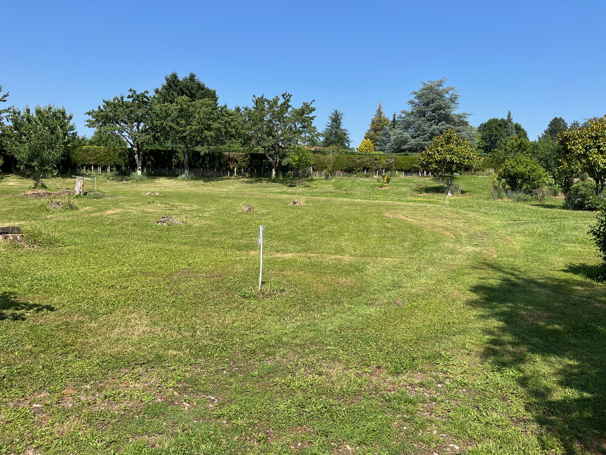 Terrains Bellerive ESAA